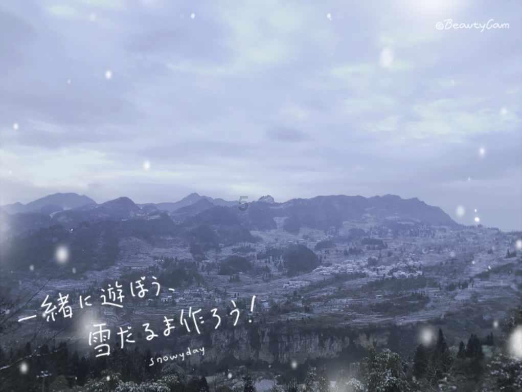 迷失在荒野